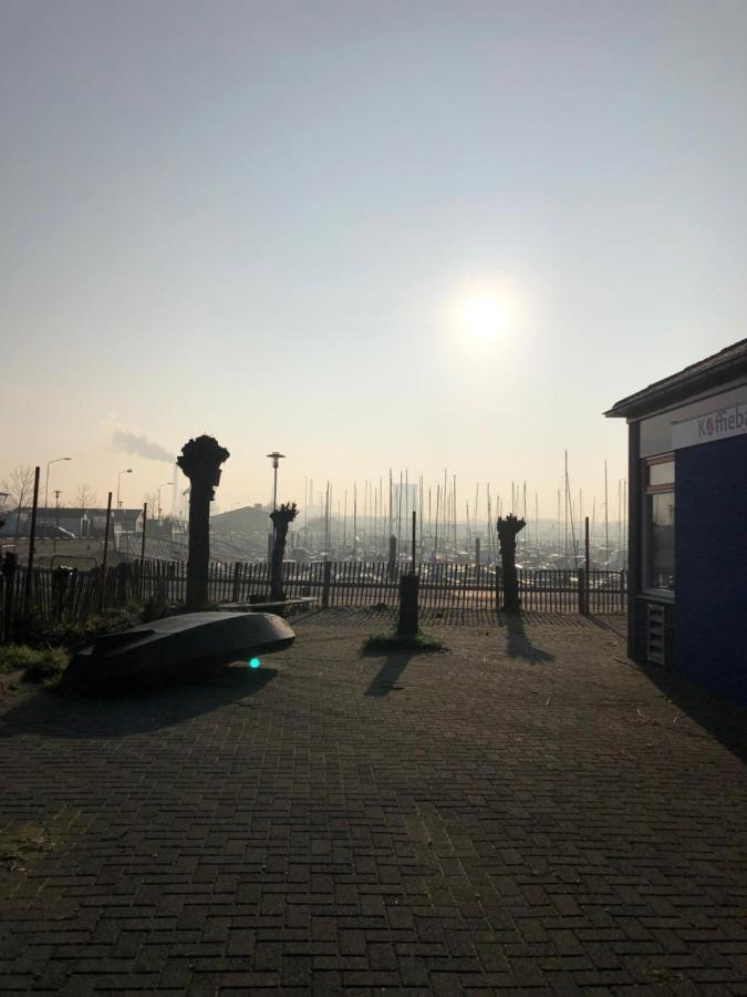 Bed And Breakfast De Biesbosch - In 'T Riet Дріммелен Екстер'єр фото